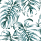 color1